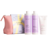 NAK Platinum Blonde Collection Trio with Platinum Blonde Anti-Yellow Treatment NAK Platinum Blonde Collection Trio with Platinum Blonde Anti-Yellow Treatment