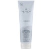 Paul Mitchell Awapuhi Wild Ginger HydraSoft Conditioner