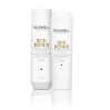 Goldwell Dualsenses Rich Repair Duo Gift Set
