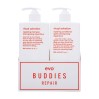 Evo Buddies Ritual Salvation 500ml Duo