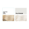 Keracolor Semi-Permanent Toning Masque Platinum