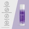 Joico Color Balance Purple Shampoo
