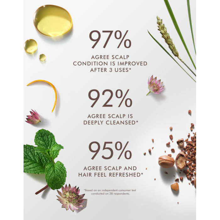 Moroccanoil Purifying Scrub