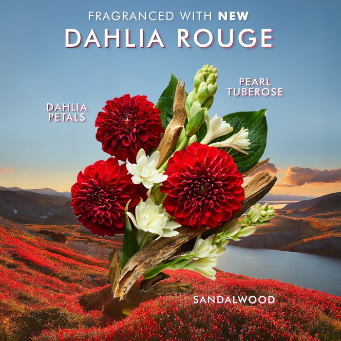 Moroccanoil Hand Wash Dahlia Rouge