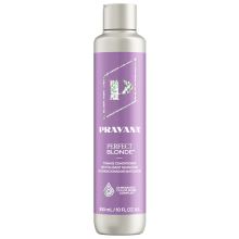 Perfect Blonde Purple Toning Conditioner