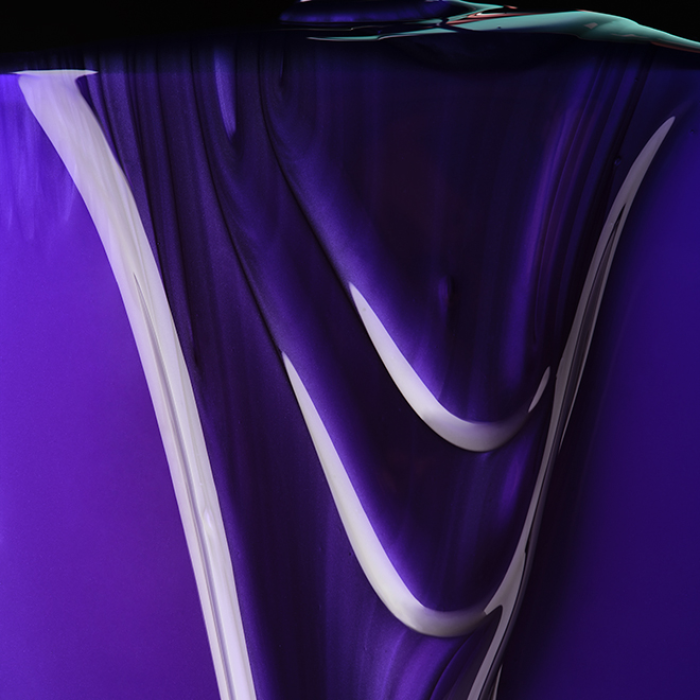 Pravana The Perfect Blonde Purple Toning Shampoo