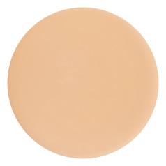 Silk Cream Compact Foundation 02 Light