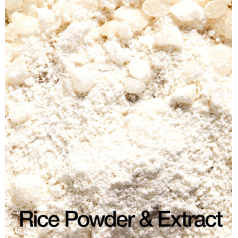 Rice Enzyme Brightening Cleansing Powder 40g