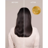 Moroccanoil Original Oil Treatment Moroccanoil Original Oil Treatment