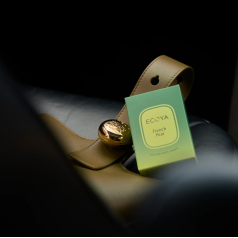 Car Diffuser Fragrance Pods in French Pear (2 x refill pods)