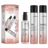 Joico Ultimate Blowout Kit