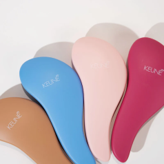 Hair Detangler Brush