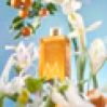 Moroccanoil Shower Gel Soleil De Tanger