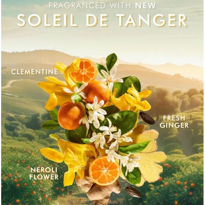 Moroccanoil Hand Cream Soleil De Tanger 