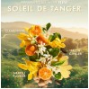Moroccanoil Hand Cream Soleil De Tanger 