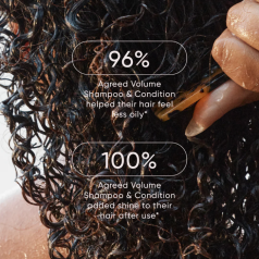 Signature Holiday Volume Trio With Replends Creme Leave-In  