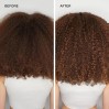 Paul Mitchell Color Protect Locking Spray
