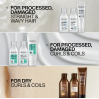 Redken Acidic Bonding Curls Shampoo