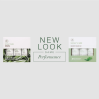 Paul Mitchell Tea Tree Scalp Care Anti-Thinning Trio Pack