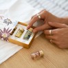 Stray Willow Essential Oil Perfume Discovery Set