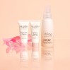 The Jojoba Company The Essential Three