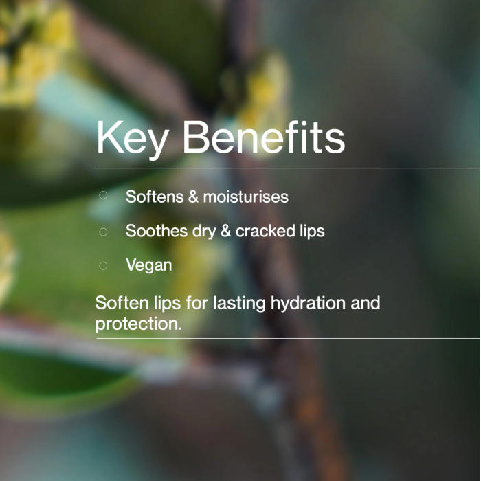 The Jojoba Company Jojoba Lip Balm