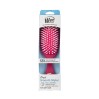 Wet Brush Frost Smooth Styler Brush