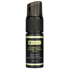The Absolute Texture Powder Black 12g
