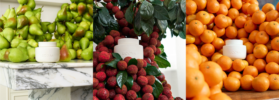 Electric Wax Melter & Melts