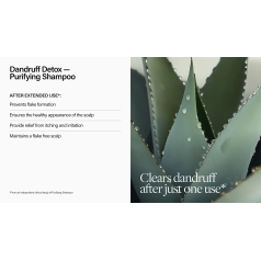 Care Dandruff Detox Purifying Shampoo 300ml