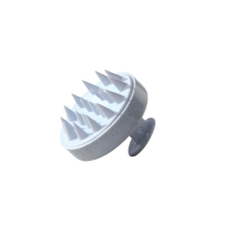 FREE Scalp Brush