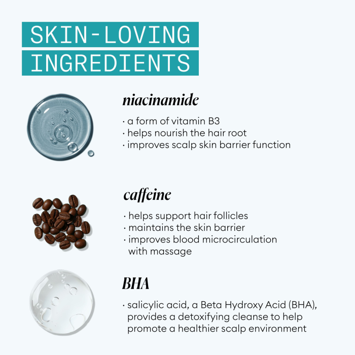 Nioxin Age Defense Shampoo