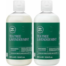 Lavender Mint Moisturizing Shampoo and Conditioner Duo 300ml