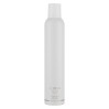 Aluram Finishing Spray