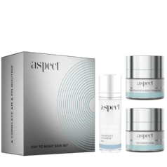 Day To Night Skin Set 
