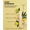 Design.Me Bounce.Me Curl Enhancer Mist