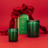 Ecoya Madison Candle in Fresh Pine