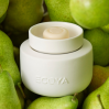 Ecoya Soy Wax Melts French Pear
