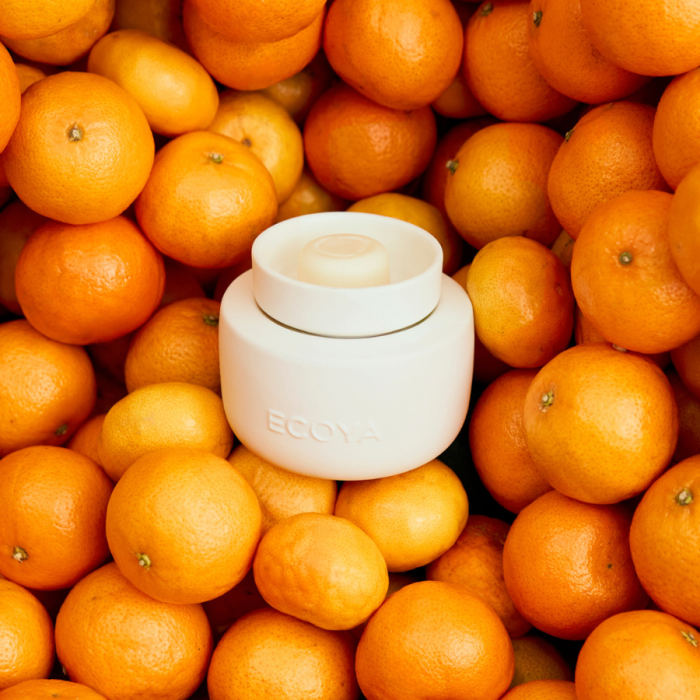 Ecoya Soy Wax Melts Mandarin Gin