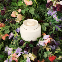 Soy Wax Melts Sweet Pea & Jasmine (4 x 20g)