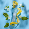 Wonder Frequent Conditioner