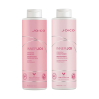 Joico InnerJoi Preserve Duo 1 Litre
