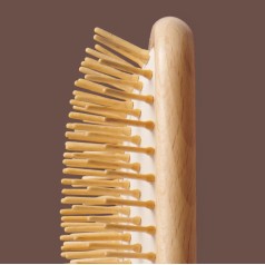 The Paddle Brush 
