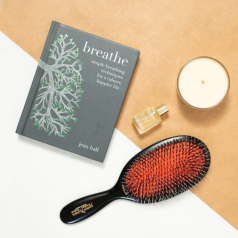 Popular Bristle & Nylon Brush BN1 Dark Ruby