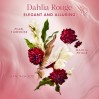 Moroccanoil Brumes Du Maroc Hair and Body Mist - Dahlia Rouge