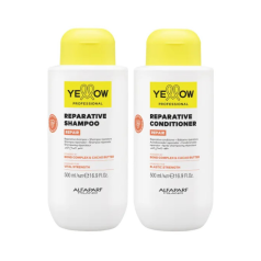 by Alfaparf Group - Repair Reparative Shampoo & Conditioner Duo (2 items)