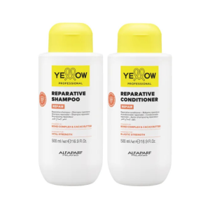 by Alfaparf Group - Repair Reparative Shampoo & Conditioner Duo (2 items)