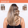 Yellow by Alfaparf Group - Repair Reparative Shampoo & Conditioner Duo