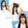 Hairdo Bangs Clip-In Fringe