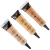 Bodyography Skin Perfecter Concealer